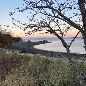 Meet your Posher, Trisha